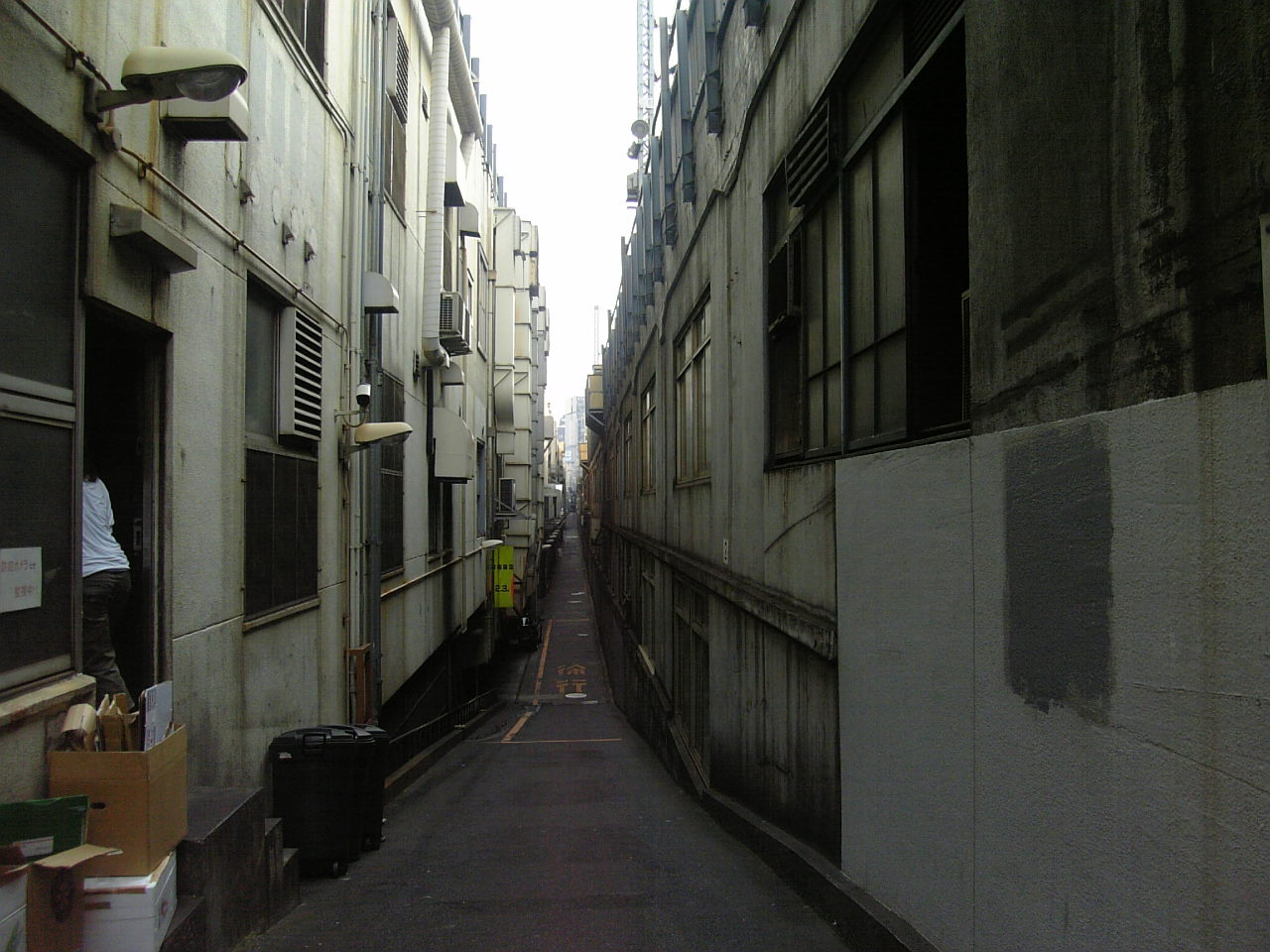 e0083359_238835.jpg