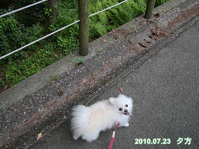 d0054461_1929385.jpg