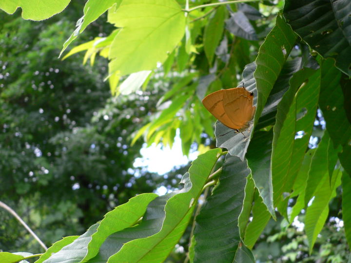 b0167762_2216428.jpg