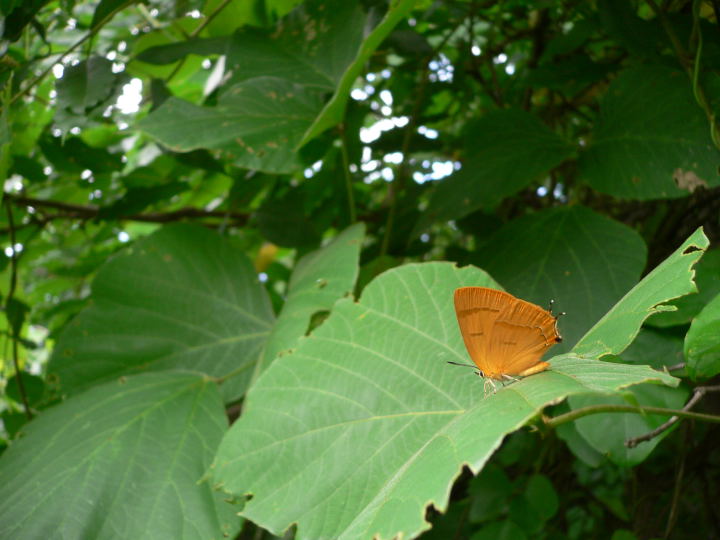 b0167762_22313355.jpg