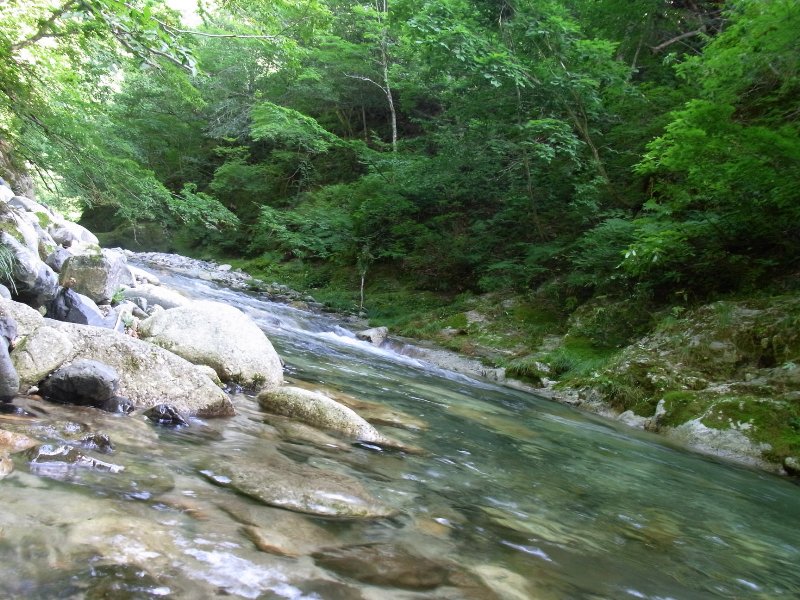 c0198267_9191634.jpg