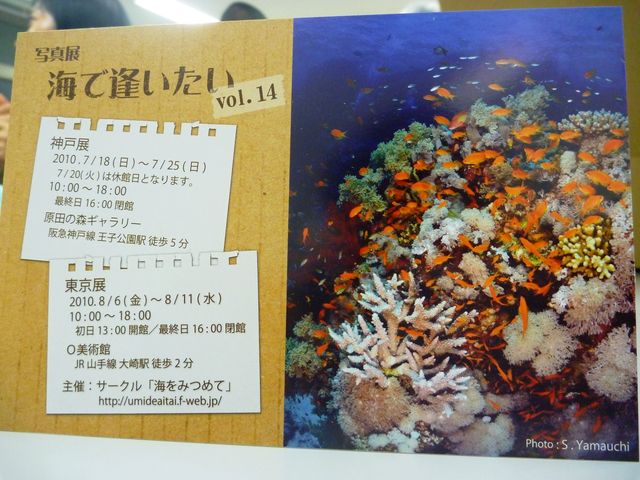 c0181073_5345598.jpg
