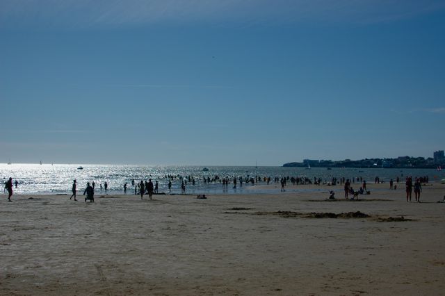 d0008073_19345539.jpg