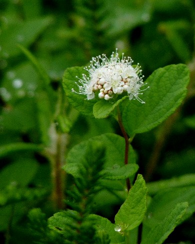 d0084473_20522960.jpg