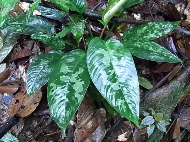 a0067578_11582418.jpg