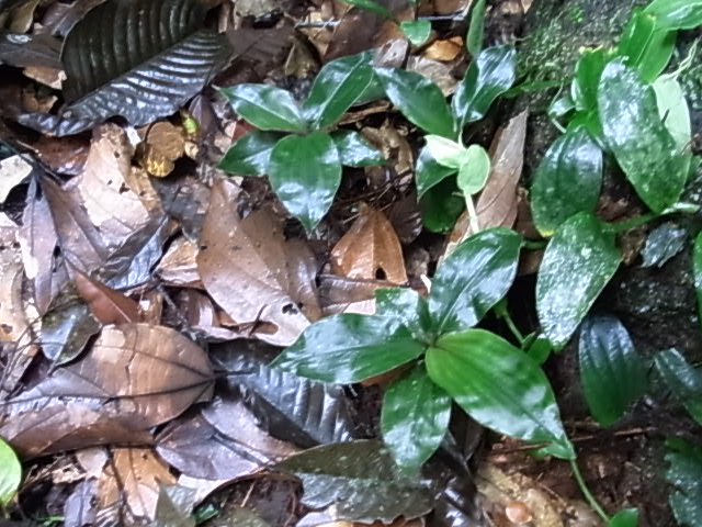 a0067578_1158729.jpg