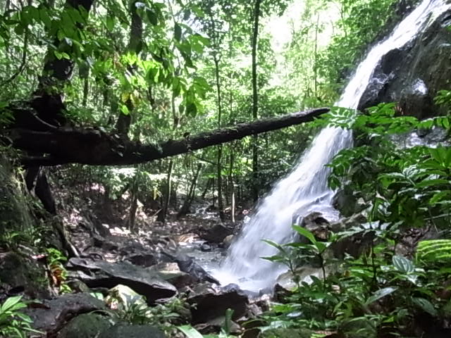 a0067578_11593325.jpg
