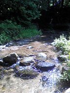 e0060483_22151123.jpg