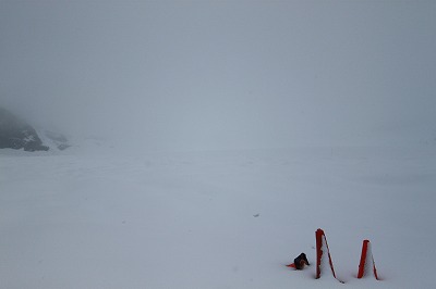 f0238184_1634282.jpg