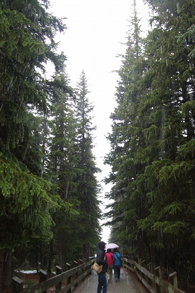 f0238184_16582714.jpg