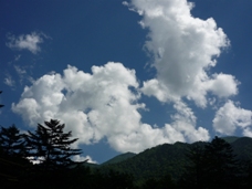 a0152785_22332046.jpg