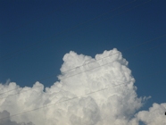 a0152785_23134647.jpg