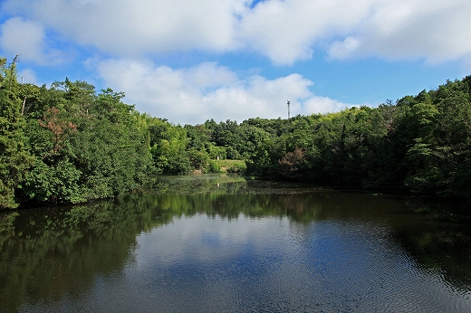 e0190885_18472872.jpg