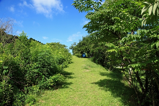 e0190885_18511461.jpg