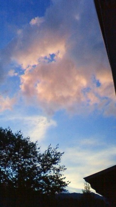 a0130586_20421234.jpg