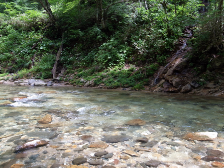 b0178889_0534924.jpg