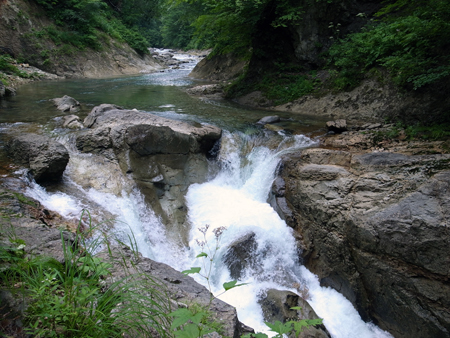 b0178889_057888.jpg