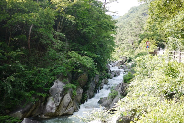 a0127090_20422047.jpg