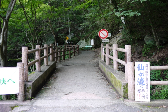 a0127090_2114721.jpg