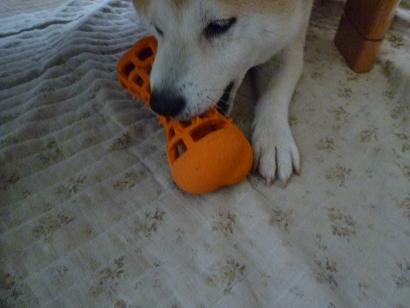 c0123890_201180.jpg