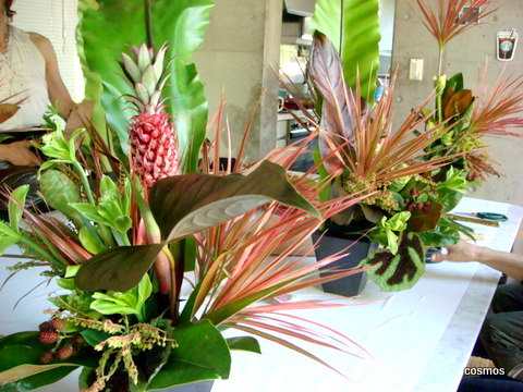 f0137694_11503356.jpg
