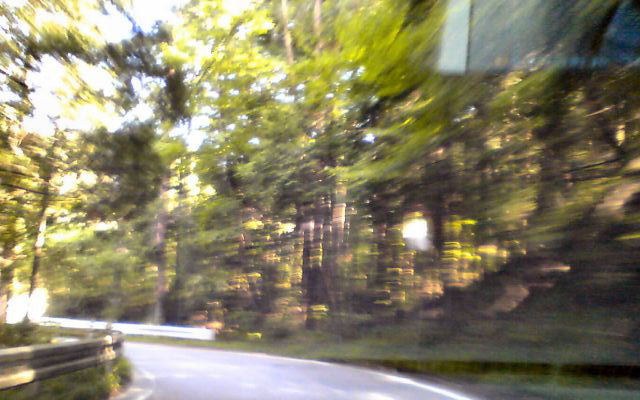 f0221699_1704857.jpg