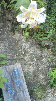 c0202101_1802592.jpg