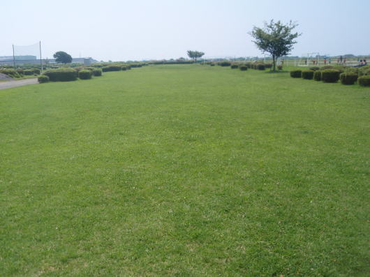 b0055202_22295596.jpg
