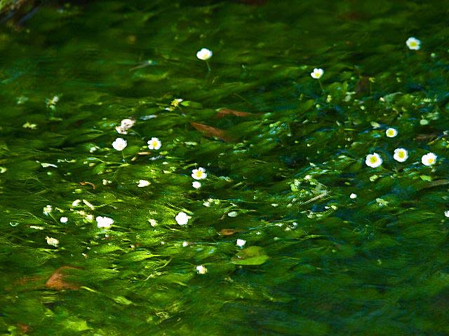 c0008502_1691969.jpg