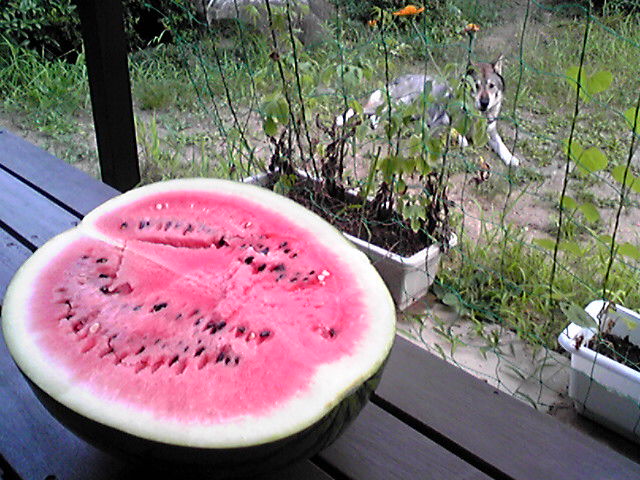 f0079202_22374026.jpg