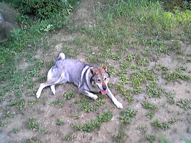 f0079202_22374098.jpg