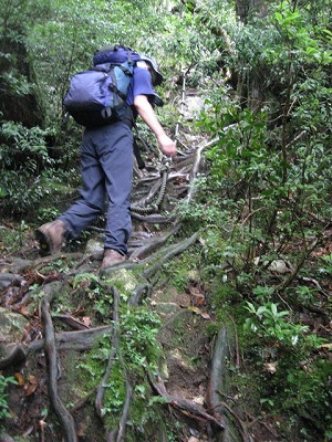 f0187402_17363089.jpg