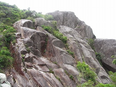 f0187402_17364531.jpg