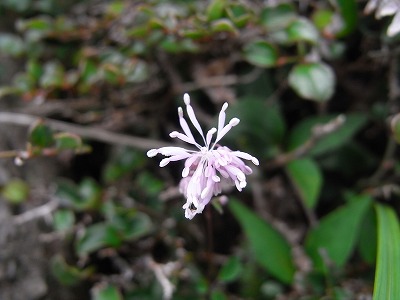 f0187402_17374426.jpg