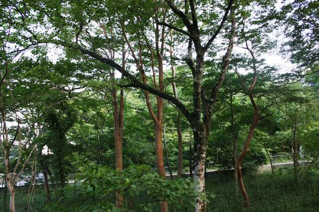 f0218002_19185017.jpg