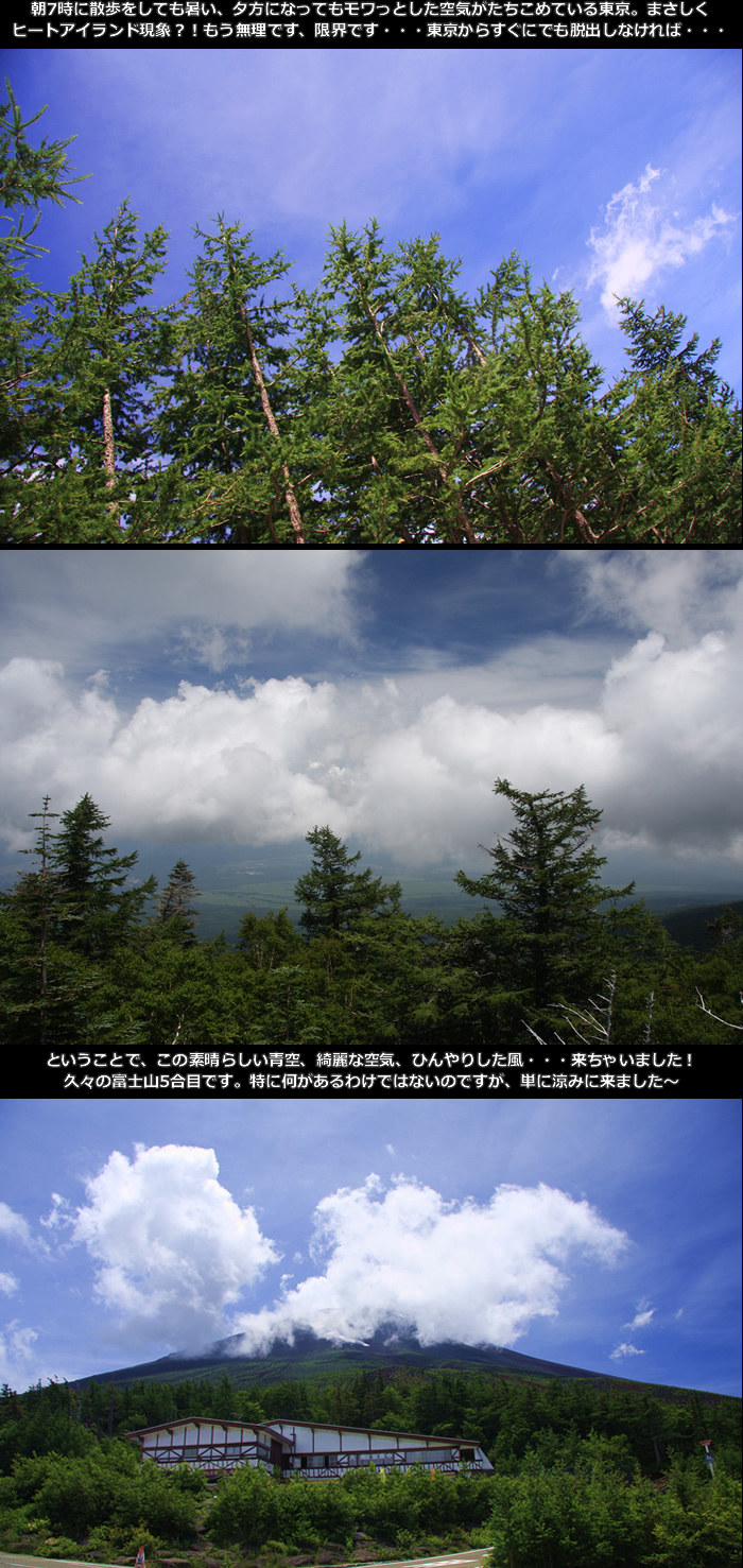 e0149903_933332.jpg