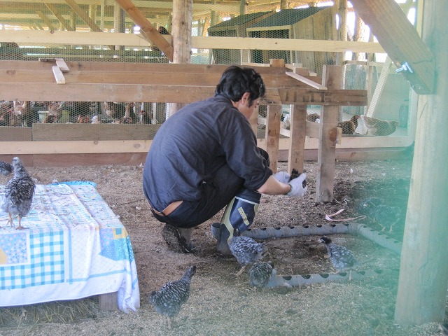 f0202703_22532698.jpg