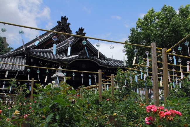 b0182104_112830.jpg