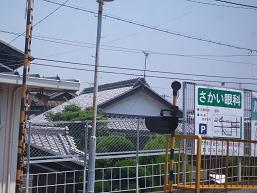 a0129705_17171839.jpg