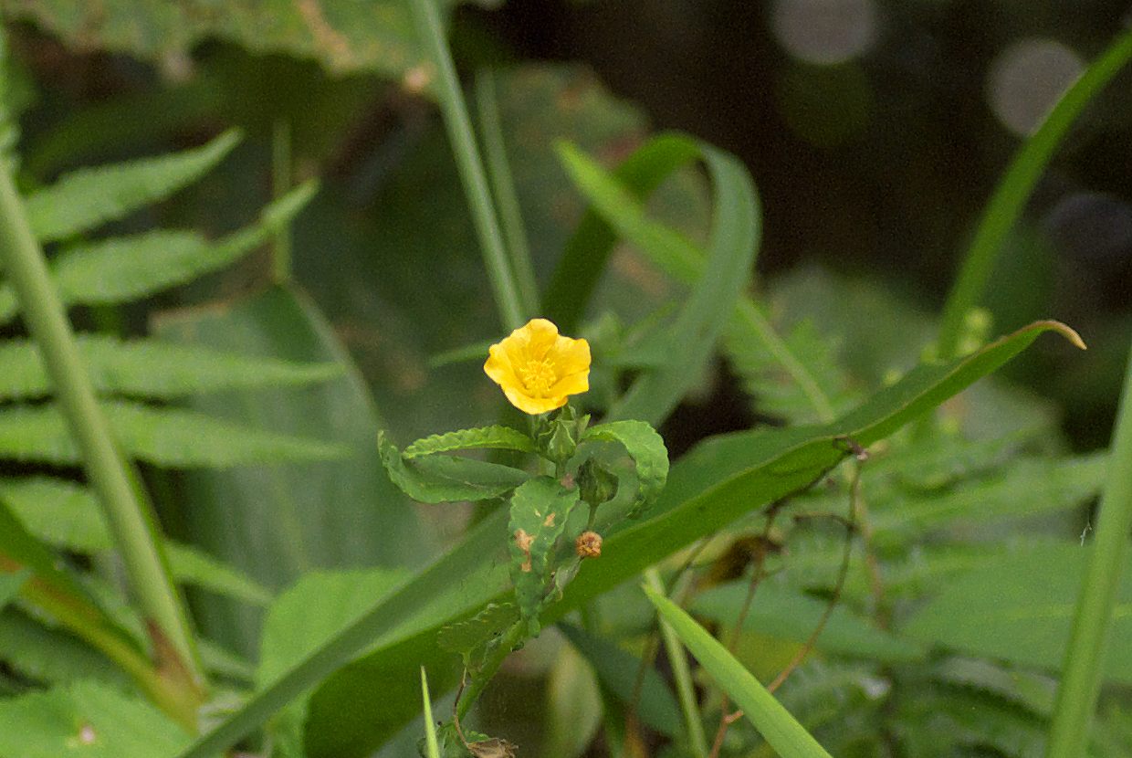 b0174905_744848.jpg