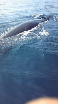 f0048405_18441572.jpg