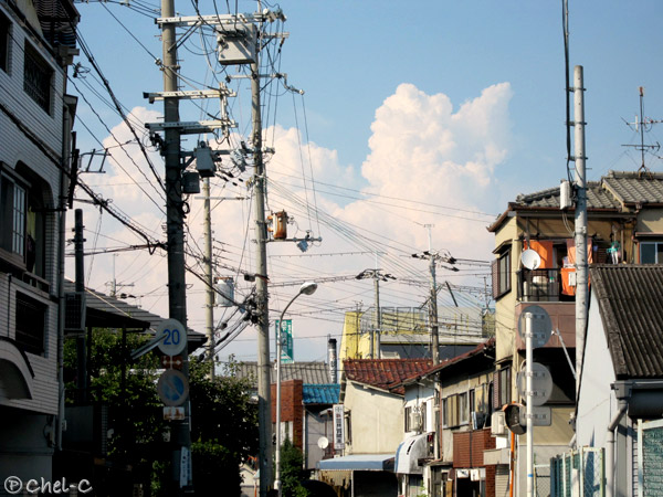 a0154706_1323812.jpg