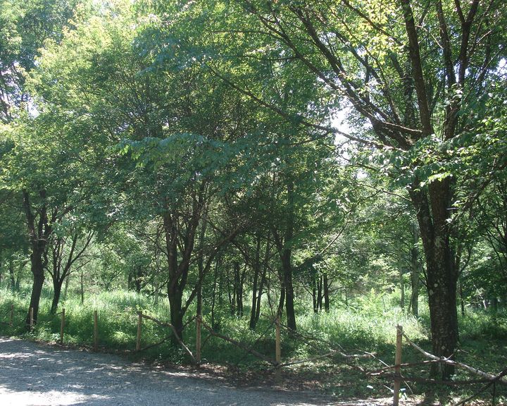 f0084806_11562319.jpg