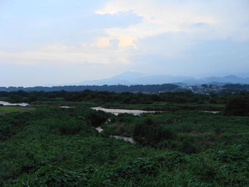 e0123808_2324981.jpg