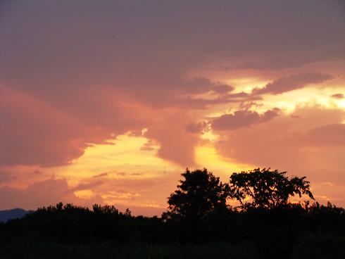 e0123808_238335.jpg