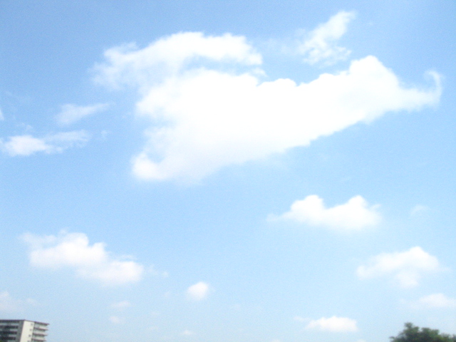 d0150309_19552922.jpg
