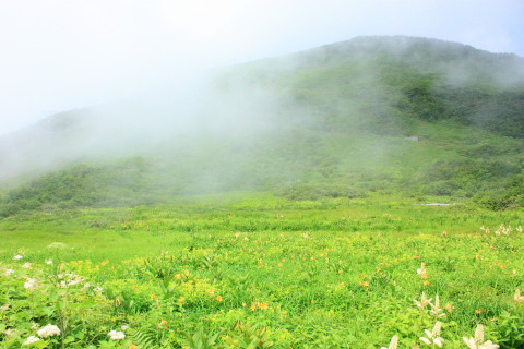 d0077811_13185856.jpg