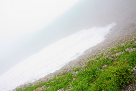 d0077811_13202442.jpg