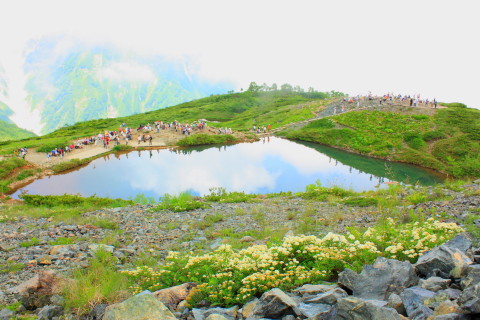 d0077811_1535963.jpg