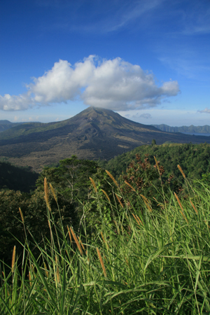 e0028811_1441647.jpg